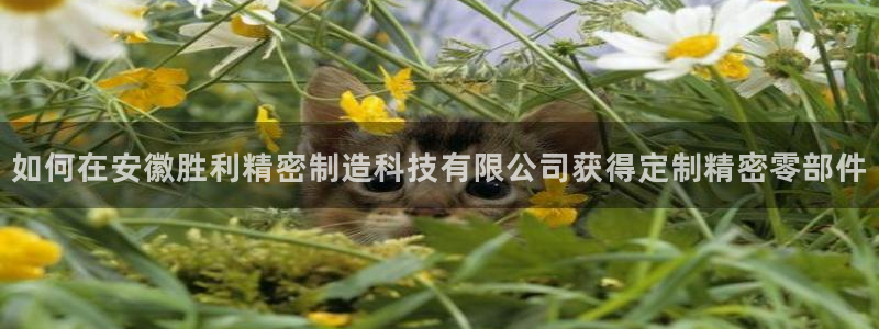 彩神v8下载app：如何在安徽胜利精密制造科技有限公司获得定制精密零部件