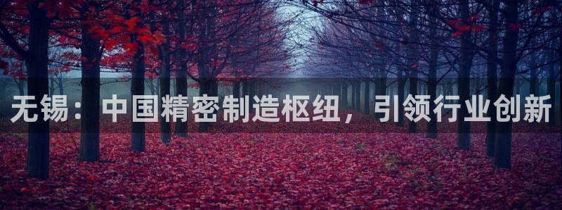 彩神网可以赚钱是真的吗：无锡：中国精密制造枢纽，引领行业创新