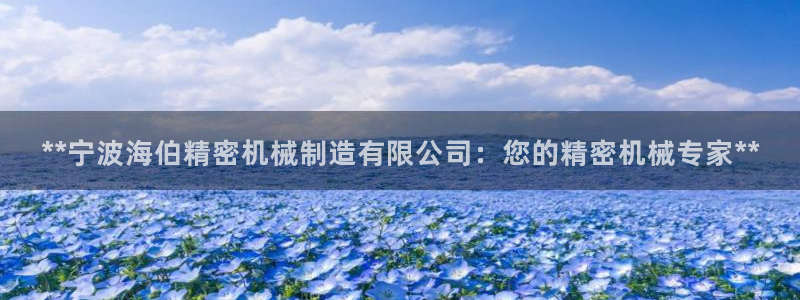 彩神是什么平台：**宁波海伯精密机械制造有限公司：您的精密机械专家**