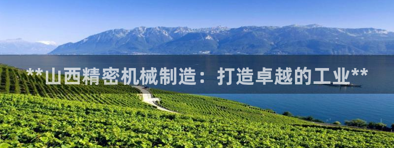 彩神V购彩大厅：**山西精密机械制造：打造卓越的工业**