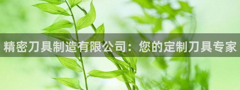 彩神v8官网版：精密刀具制造有限公司：您的定制刀具专家