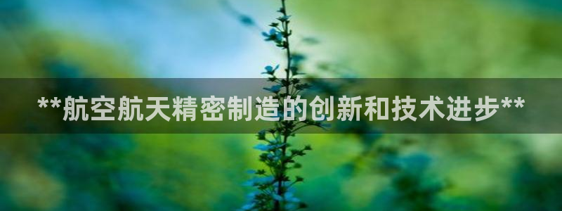 彩神vll购彩大厅：**航空航天精密制造的创新和技术进步**