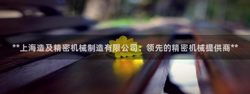 彩神vll购彩大厅大众：**上海造及精密机械制造有限公司：领先的精密机械提供商**