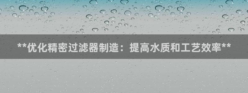 彩神x平台靠什么盈利：**优化精密过滤器制造：提高水质和工艺效率**
