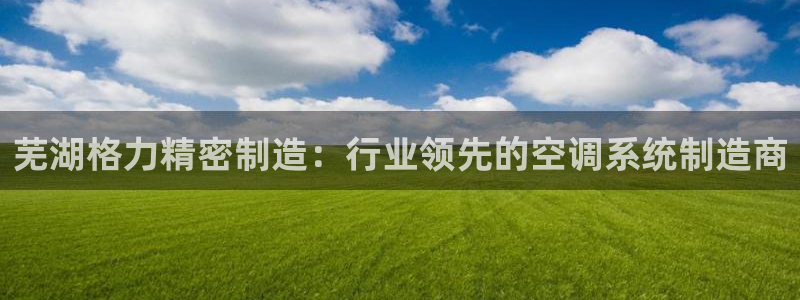 彩神大发三期计划网站：芜湖格力精密制造：行业领先的空调系统制造商