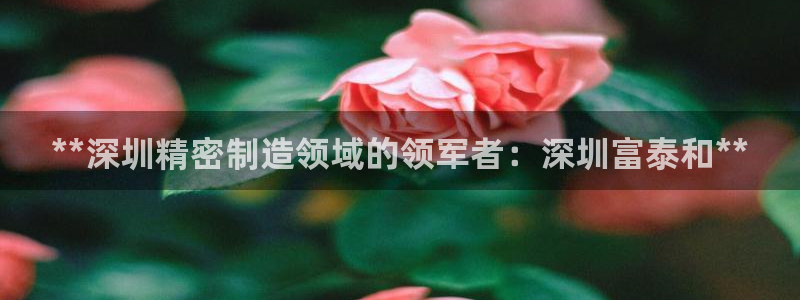 彩神v破解版：**深圳精密制造领域的领军者：深圳富泰和**