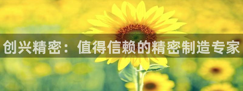 彩神用户登录：创兴精密：值得信赖的精密制造专家