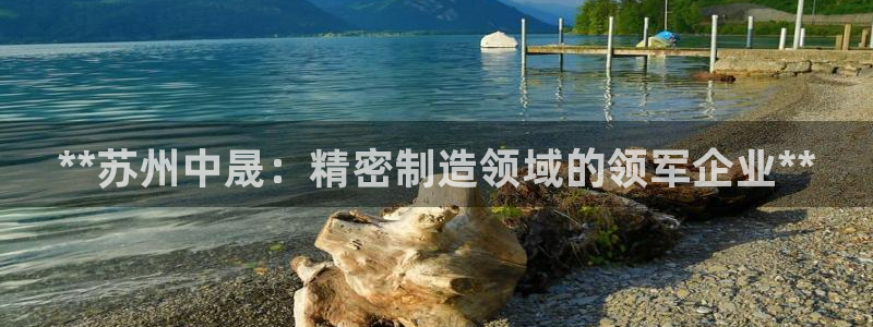 彩神vll趣投彩：**苏州中晟：精密制造领域的领军企业**