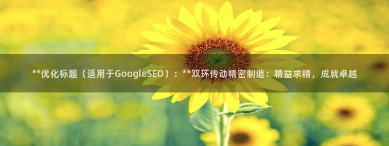 彩神v8是一个什么平台：**优化标题（适用于GoogleSEO）：**双环传动精密制造：精益求精，成就卓越