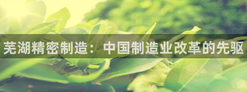 在彩神网输了六万多怎么拿回来：芜湖精密制造：中国制造业改革的先驱
