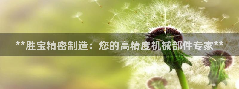 彩神购彩-购彩大厅入口500：**胜宝精密制造：您的高精度机械部件专家**