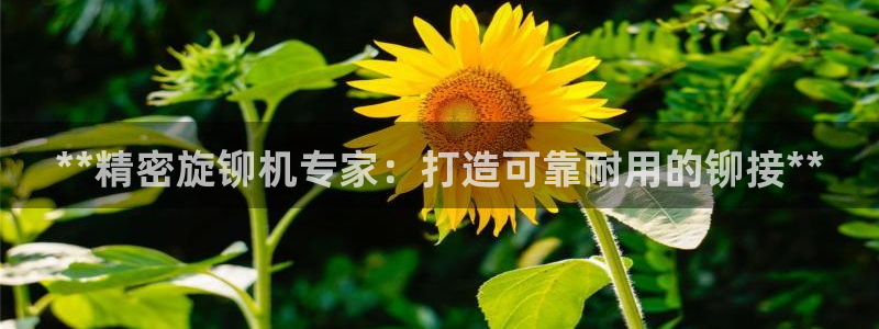 彩神网合法吗：**精密旋铆机专家：打造可靠耐用的铆接**
