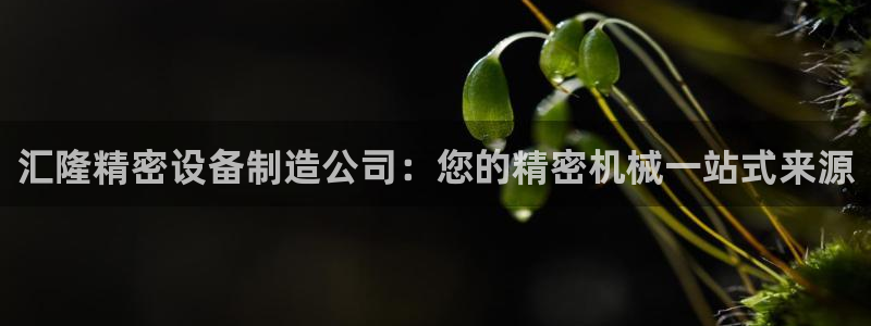 彩神v8购彩大厅登：汇隆精密设备制造公司：您的精密机械一站式来源