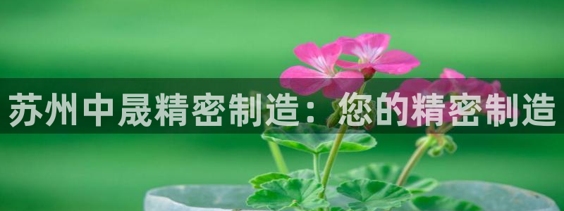 彩神大发cp：苏州中晟精密制造：您的精密制造