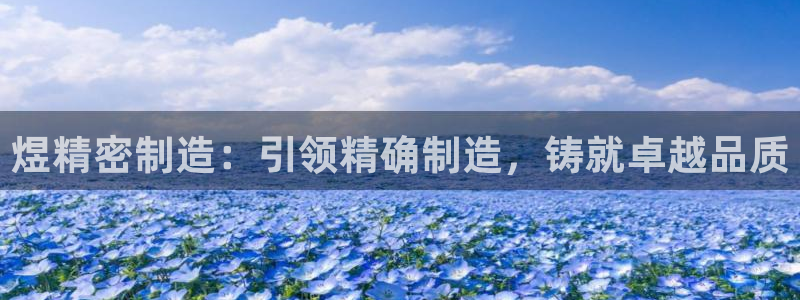 彩神ⅴll用户登录：煜精密制造：引领精确制造，铸就卓越品质