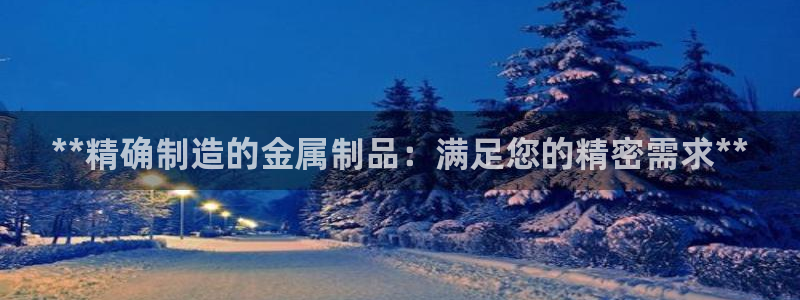 彩神vllⅰ购彩大厅：**精确制造的金属制品：满足您的精密需求**