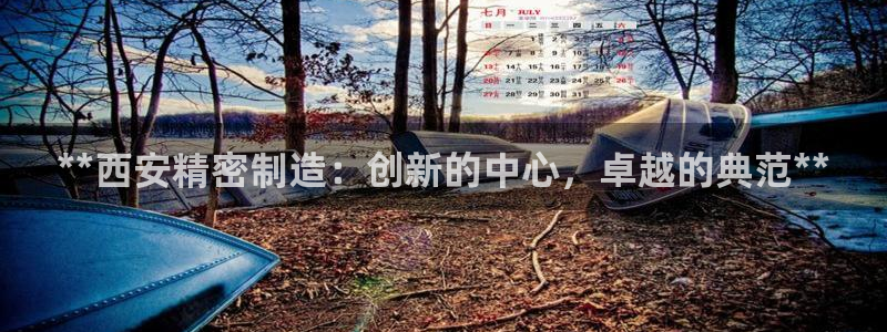 彩神官方网站登录是多少：**西安精密制造：创新的中心，卓越的典范**