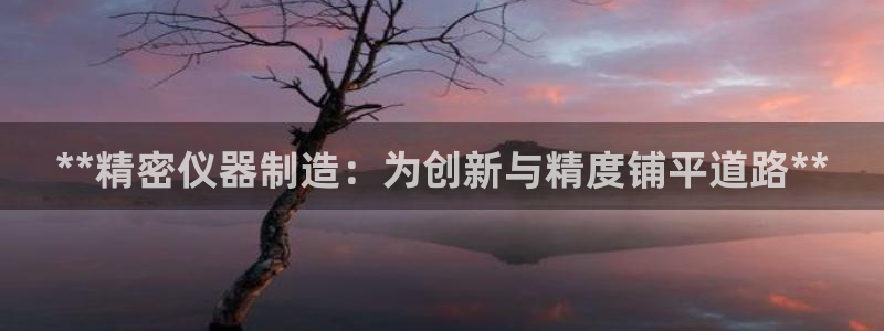 彩神vll首页：**精密仪器制造：为创新与精度铺平道路**
