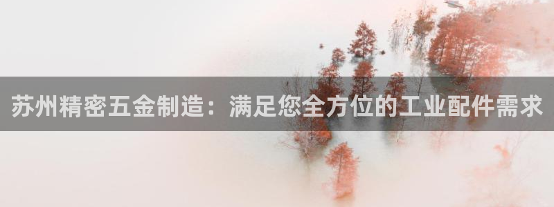 彩神可以提现吗：苏州精密五金制造：满足您全方位的工业配件需求