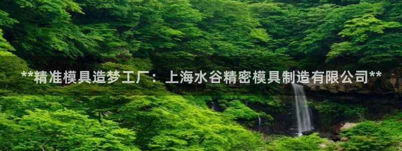 彩神v8是一个什么平台游戏：**精准模具造梦工厂：上海水谷精密模具制造有限公司**