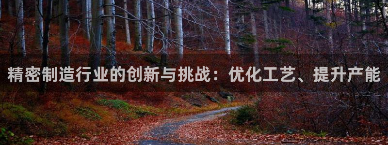 彩神Vii购彩-购彩大厅：精密制造行业的创新与挑战：优化工艺、提升产能