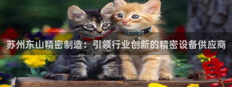 彩神网合法吗：苏州东山精密制造：引领行业创新的精密设备供应商