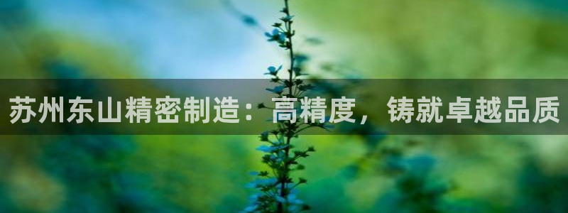 彩神8最新版下载：苏州东山精密制造：高精度，铸就卓越品质