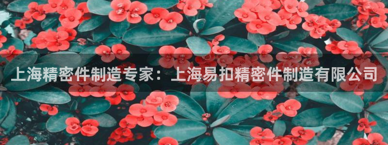 彩神8是正规平台吗：上海精密件制造专家：上海易扣精密件制造有限公司