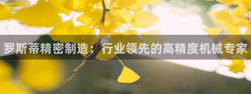 彩神v破解版：罗斯蒂精密制造：行业领先的高精度机械专家