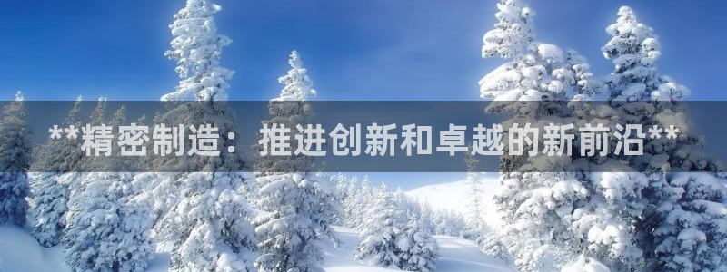 彩神网能赚钱是怎么回事：**精密制造：推进创新和卓越的新前沿**