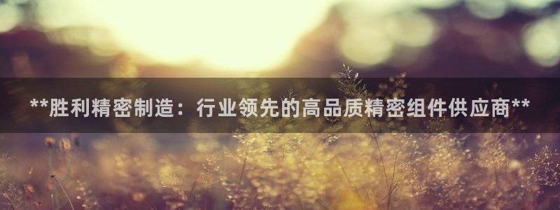 彩神iv争霸购彩大厅：**胜利精密制造：行业领先的高品质精密组件供应商**