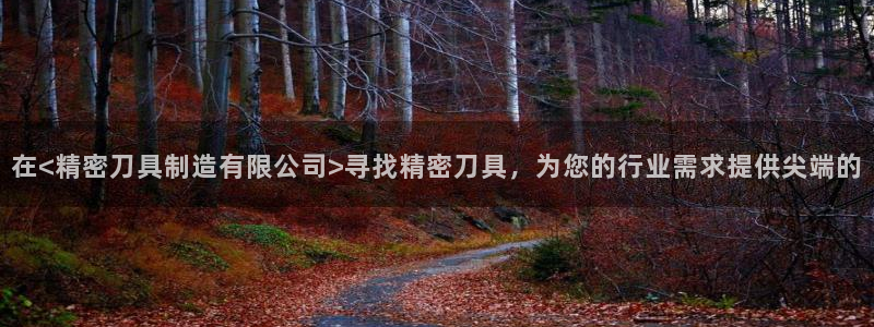 彩神VII购彩中心：在<精密刀具制造有限公司>寻找精密刀具，为您的行业需求提供尖端的