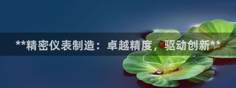 彩神通官网下载：**精密仪表制造：卓越精度，驱动创新**