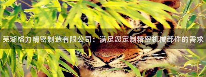 彩神v8下载网址：芜湖格力精密制造有限公司：满足您定制精密机械部件的需求