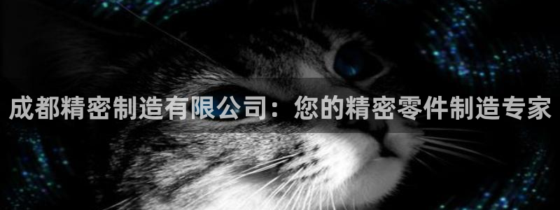 彩神怎么样可以提现：成都精密制造有限公司：您的精密零件制造专家