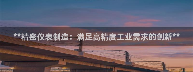 彩神数码科技有限公司：**精密仪表制造：满足高精度工业需求的创新**