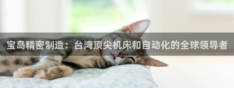彩神争霸官方下载：宝岛精密制造：台湾顶尖机床和自动化的全球领导者