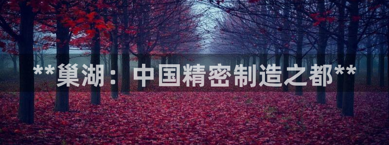彩神购彩-购彩大厅入口下载：**巢湖：中国精密制造之都**