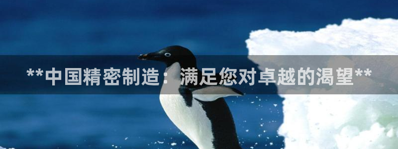 彩神ix能赚钱吗：**中国精密制造：满足您对卓越的渴望**