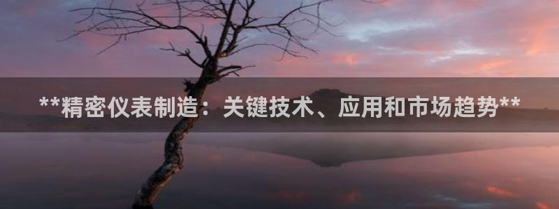彩神v1破解器：**精密仪表制造：关键技术、应用和市场趋势**