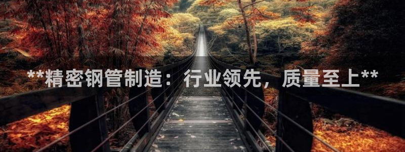彩神盈利图片：**精密钢管制造：行业领先，质量至上**