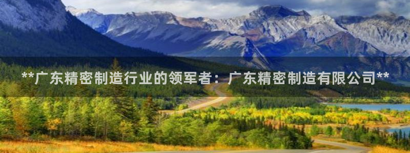 彩神购彩-购彩大厅入口500：**广东精密制造行业的领军者：广东精密制造有限公司**
