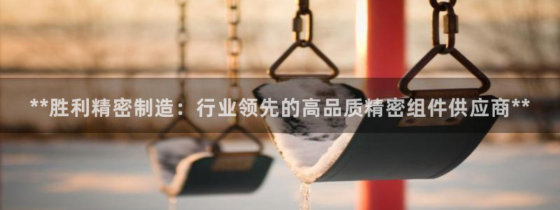 在彩神网输了六万多怎么拿回来：**胜利精密制造：行业领先的高品质精密组件供应商**