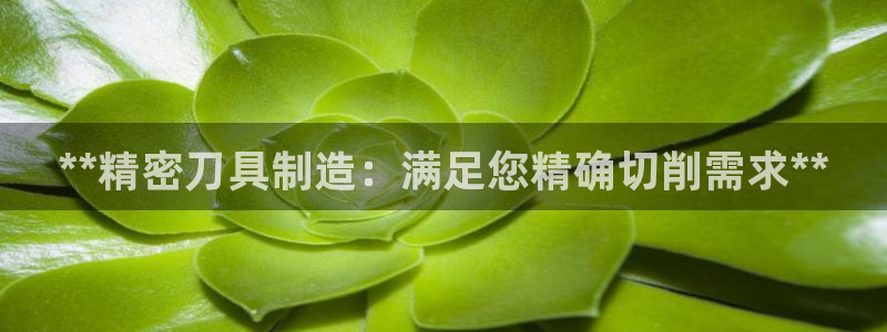 彩神ix是真的吗：**精密刀具制造：满足您精确切削需求**