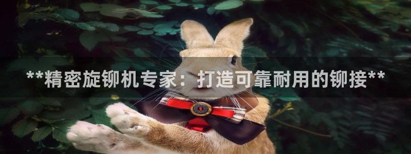 彩神旗下有哪些平台可以玩：**精密旋铆机专家：打造可靠耐用的铆接**