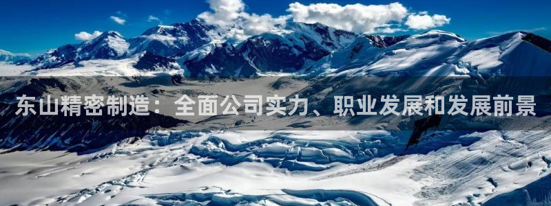 彩神vi争霸官网：东山精密制造：全面公司实力、职业发展和发展前景