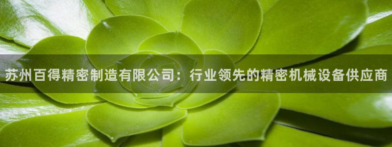 彩神8下载安卓版-彩神8(可提现)官网版1.0.0：苏州百得精密制造有限公司：行业领先的精密机械设备供应商