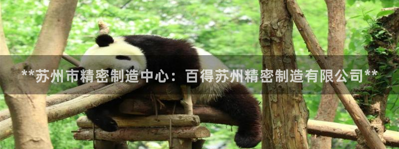 彩神系列平台：**苏州市精密制造中心：百得苏州精密制造有限公司**