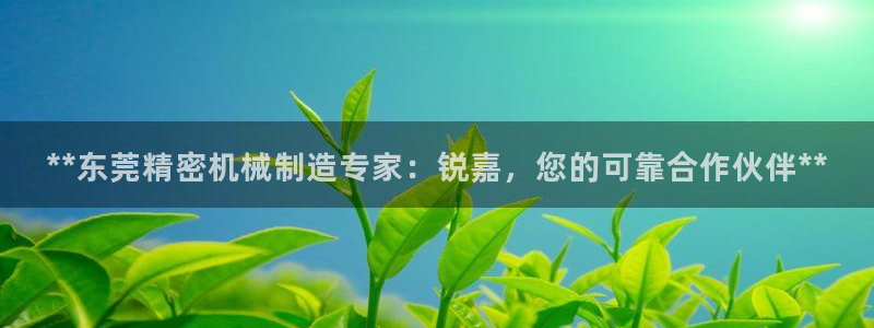 彩神平台是什么套路