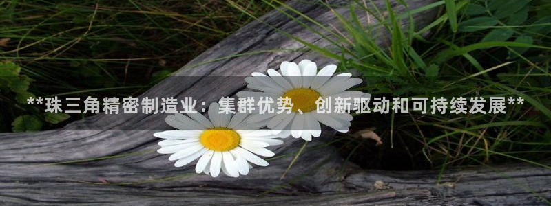 彩神大发黑平台